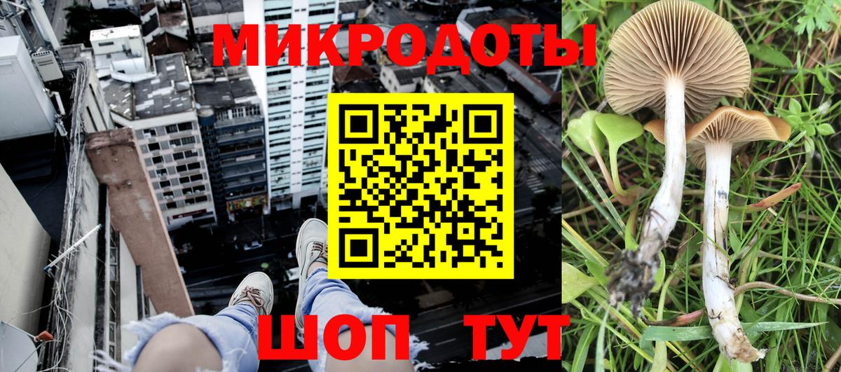 Карталы  Галлюциногенные грибы Cubensis  Вход с VPN 