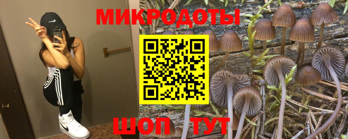 Галлюциногенные грибы мицелий Карталы
